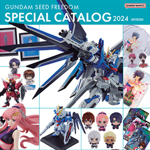 ガンダム　2024 限定　フルパッケージ　新品未使用 未開封 L BUILD デスティニーガンダム フルパッケージ 2024 開封品】L