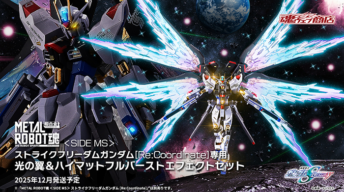 メタルロボット魂　ストライクフリーダムガンダム エフェクトパーツ　光の翼セット METAL ROBOT魂 ストライクフリーダムガンダム［Re:Coordinate