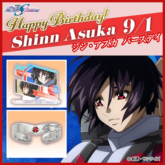 機動戦士ガンダムSEED FREEDOM』シンの誕生日を記念したオーロラ